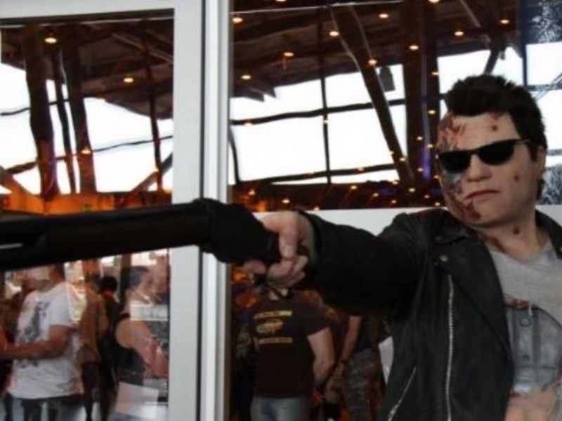 the terminator arnold schwarzenegger